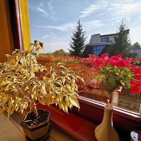 Apartman Adrianka Turčianske Teplice Extérieur photo