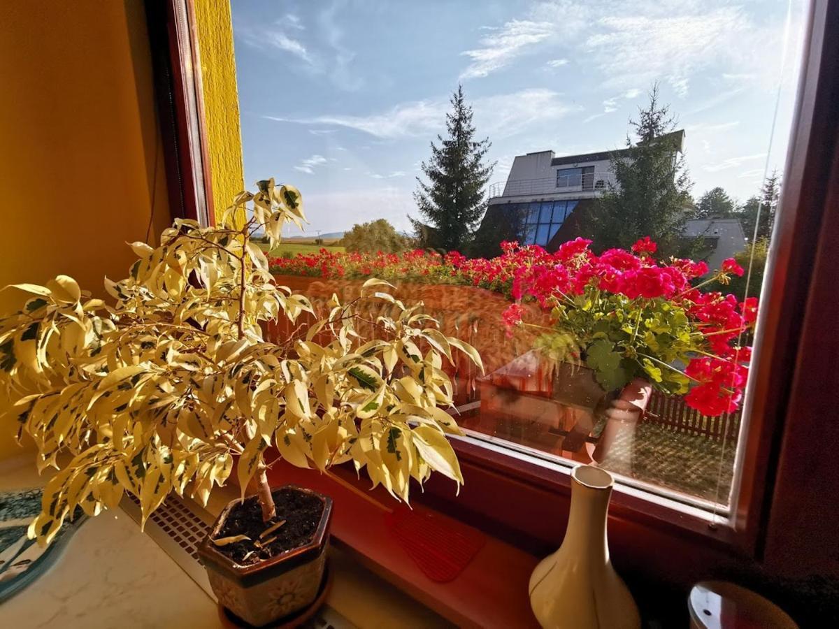 Apartman Adrianka Turčianske Teplice Extérieur photo